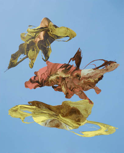 freefall by nichoal may